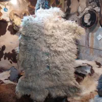 پوست گوسفندی دباغی شده