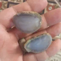 سنگ عقیق سلیمانی