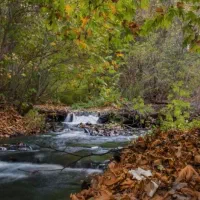 باغ ۵۰۰متری در کوهساران طرقبه