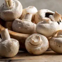 پخش کلی و جزئی قارچ