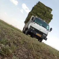 یونجه