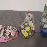 3 عدد گل نو