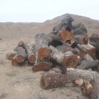 سرمایه گذار کار تولیدی جهت راه اندازی کارخانه چوب