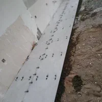 سیمان کاری وسرامیک کار