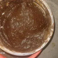 ترشی آلوچه