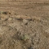 زمین-شهرداری