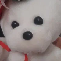 مراقب بچه