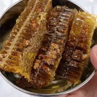 عکس موم دار طبیعی سبلان