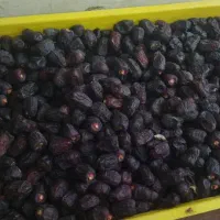 ضایات خرما چل و پون دارم 15تن