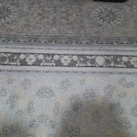 ۷۰۰شانه