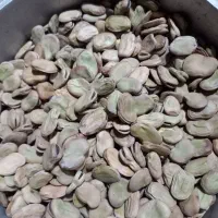 باقله درشت وزودپز