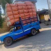 کاه