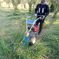 خرید یونجه وعلوفه باغ سر زمین