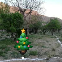 زمین سخوید محله کبعلی