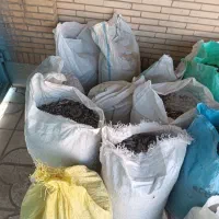 کود کبوتر