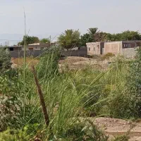 فروش-زمین