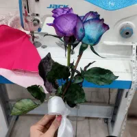 استخدام خیاط شخصی دوز