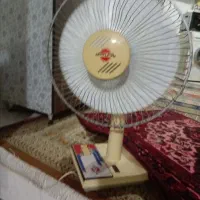 پنکه در حد نونو