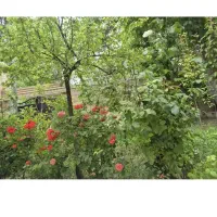 خانه-ویلایی-روستایی-نزدیک-به-مرکز-شهر