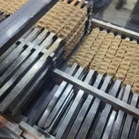 چلو کباب و کباب تک سیخ با کیفیت