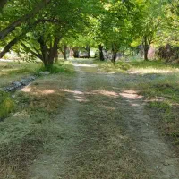 باغ ۶۰ساله گردشگری