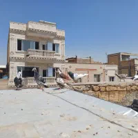 8عددپرنده بوم