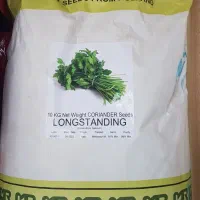 بذر گشنیز وارداتی هلند رزنسید فروش عیدانه