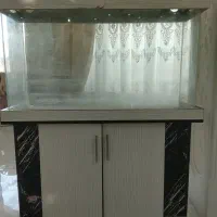 آکواریوم شیشه خم
