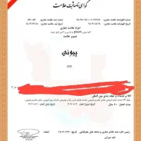 فروش برند فست فود