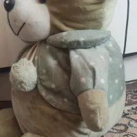 خرس مخمل