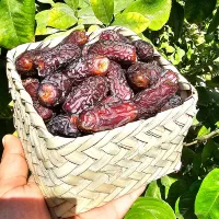 خرما|عمده‌فروشی|تهران, خانی‌آباد|دیوار