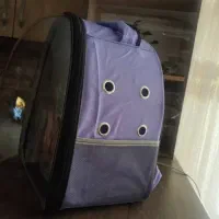فروش وسایل گربه