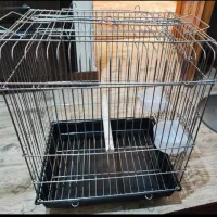 قفس تاشو عروس هلندی