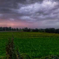 نگهبان دائم برای مزرعه آشنا به کشاورزی