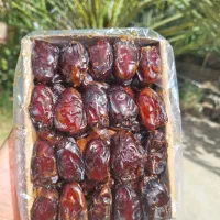 خرما کارتونی درجه۱
