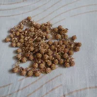 دور سخمه