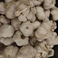 سیر محلی|خوردنی و آشامیدنی|زالیان, |دیوار