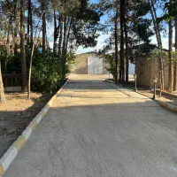 فروش-و-اجاره-مرغداری-تخم-گذار