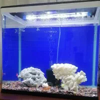 اکواریوم شرکتی شیشه خم