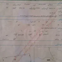 فروش-زمین-دیم-وآبی-بخش-دالاهو-بریخانی