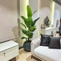 پرنده بهشتی اماراتی