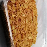 پخش پیاز داغ و سیر داغ