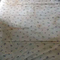 تشک  گل پنبه