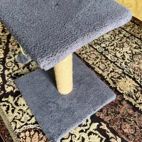 اسکرچر گربه