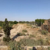 زمین-باغچه-سند-تک-برگ-عطر-یاس