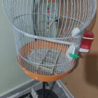 قفس همراه با وسایل
