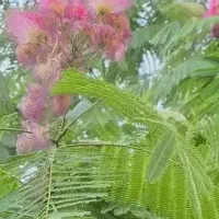 فروش-باغچه-در-حاده-سلماس-روبروی-فرودگاه