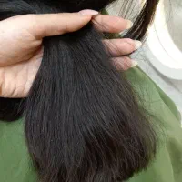 موخوره گیری و احیای مو