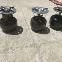 پیک نیک