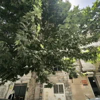 101متر2خوابه-طبقه2از-2-مرکزگلشهر-خیابان-بنفشه